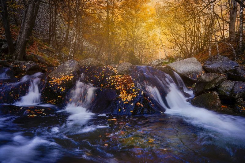 Autumn beautyphoto preview