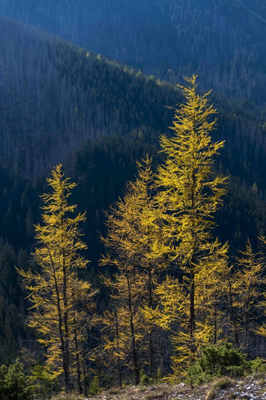 Autumn in the mountainphoto preview