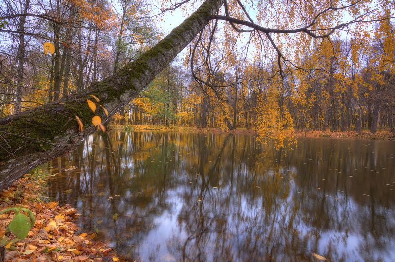 Осенняя зарисовкаphoto preview