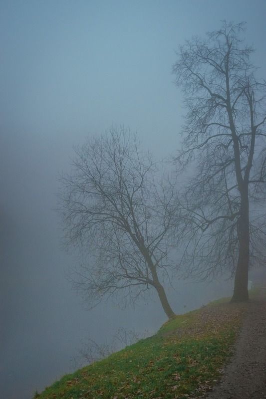 Ещё туманphoto preview