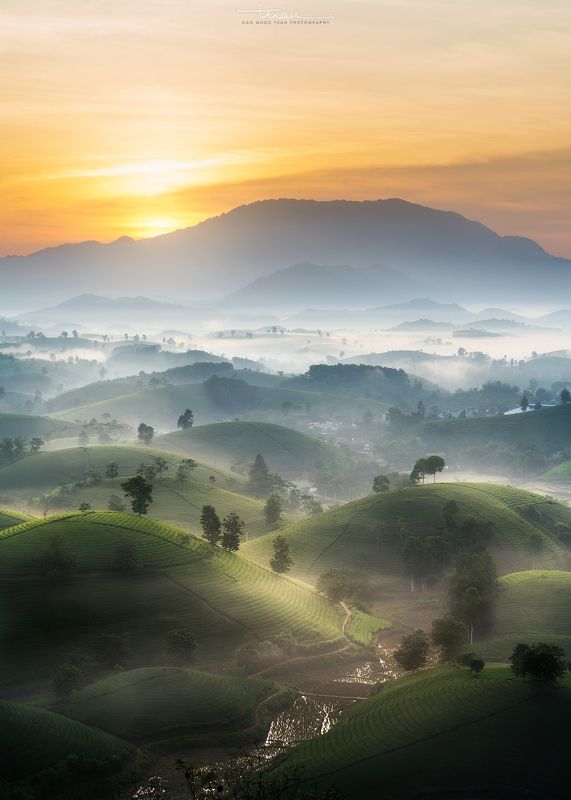 Far away to the tea hill...photo preview