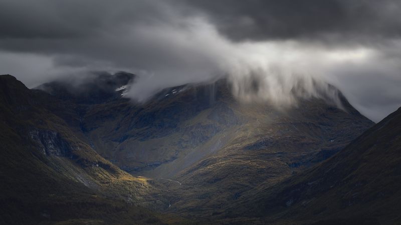 Rundhornphoto preview