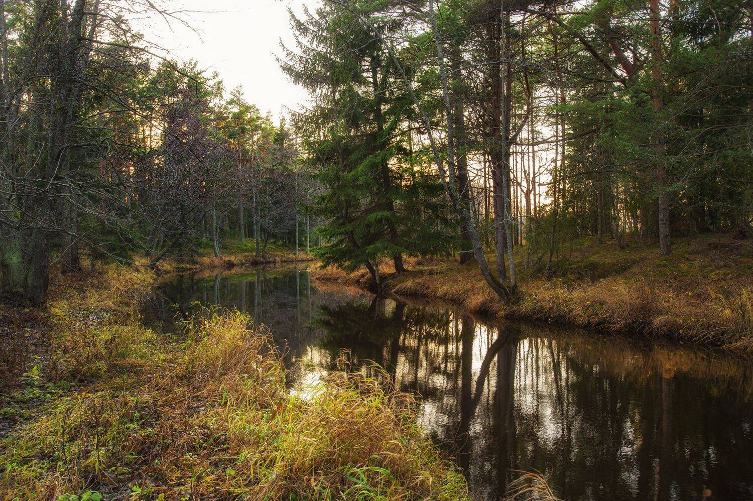 , Юрий Кулаков