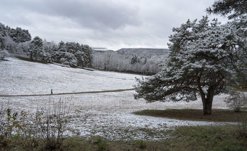 природа, горы, осень, снег Первый снегphoto preview