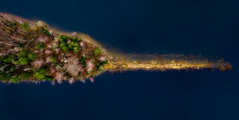 Чудо-юдо Рыба-кит...photo preview