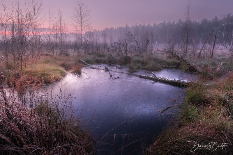 Kampinosphoto preview