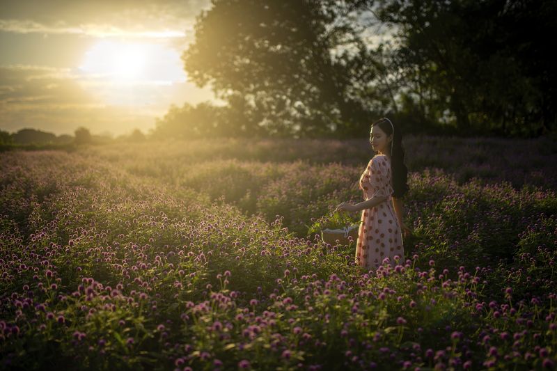 purple fieldphoto preview
