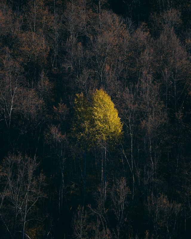 последнийphoto preview