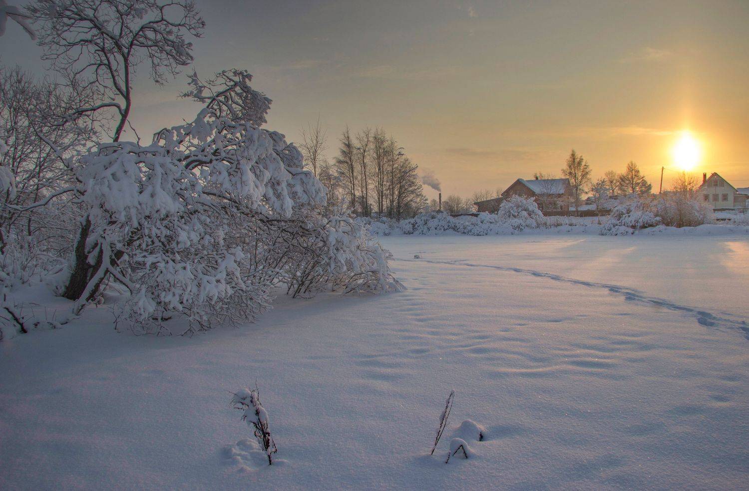 ***. Автор: Александр Коротков , Александр Коротков
