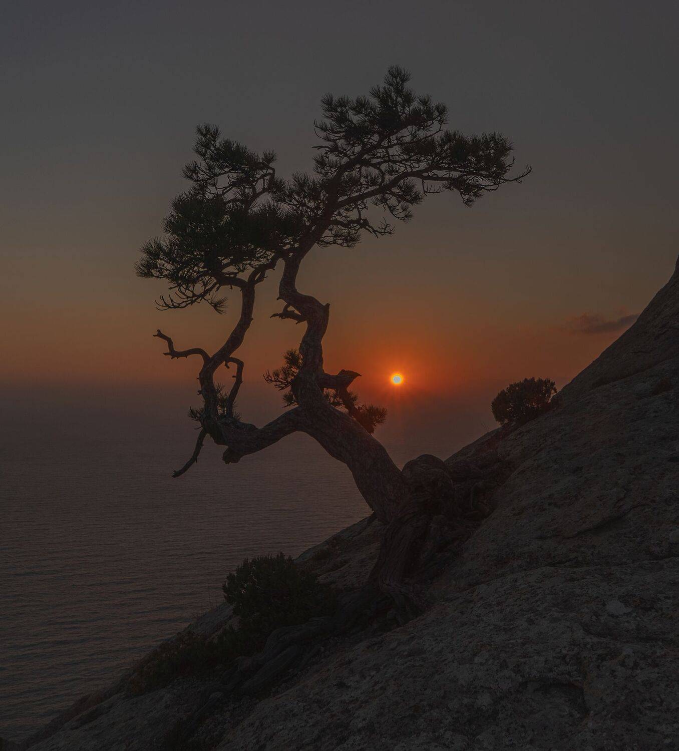 , Константин Дэм