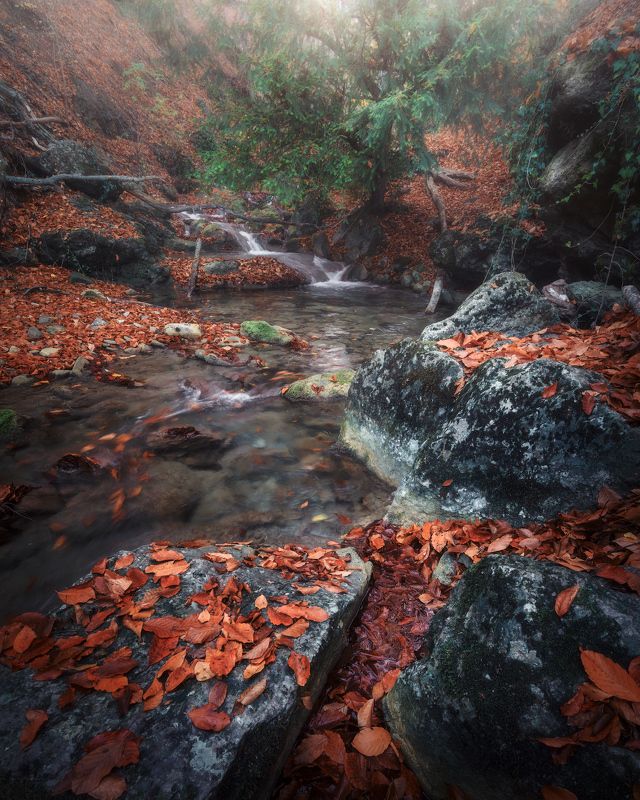 Ущелье Хапхалphoto preview