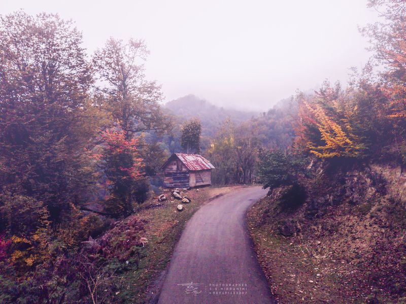 Wooden cottage in the autumn fog photo preview