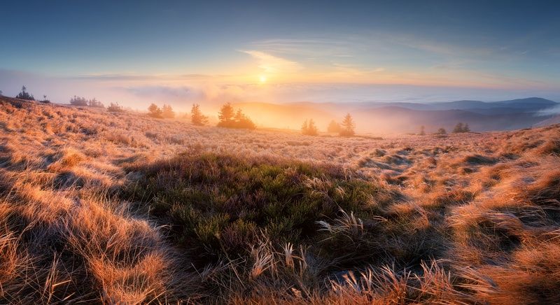 landscape, tree, sunrise, panorama Autumn Morning (Jeseníky)photo preview