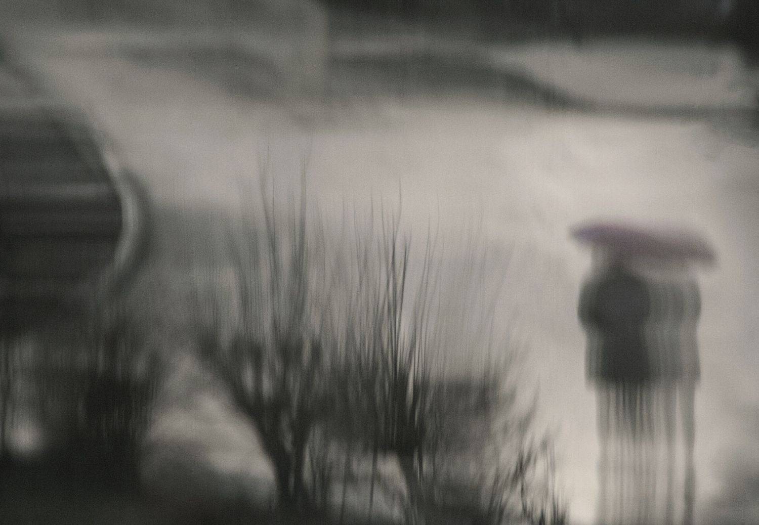 Осенняя акварель. Автор: Ольга Алексейчик , Ольга Алексейчик