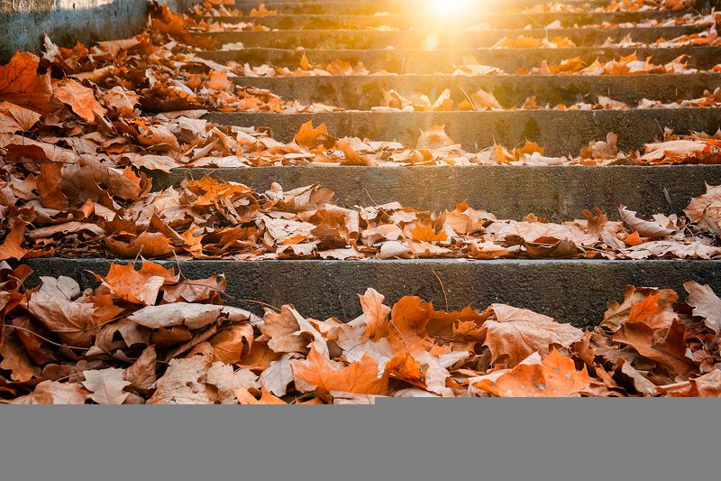 екатерингоф, санкт-петербург, листья, осень Листья на лестницеphoto preview