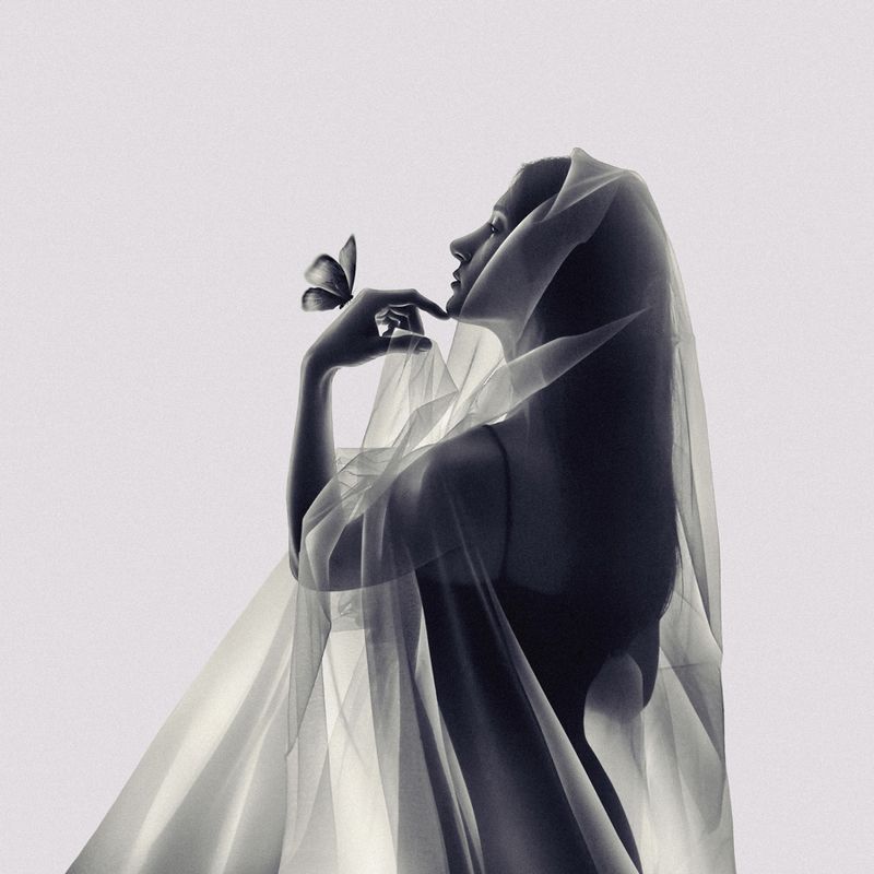 SURREAL,FANTASY,IMAGINATION,DREAM,DREAMING,DREAMY,WOMAN,SURREALISM,ART,MONTAGE,PERSON,CREATIVE,LIGHT,SHADOW,EDIT,FINEART,DARK,SILHOUETTE,PORTRAIT,CONCEPTUAL,PSYCHE,GREEK MYTH,TULLE,VEIL,OUL Goddess of the Soulphoto preview