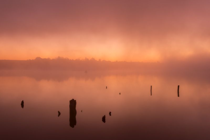 осень, деревья, облака, золотаяосень, цветосени, озеро, листья, туман В дни осени они расцветают вновьphoto preview