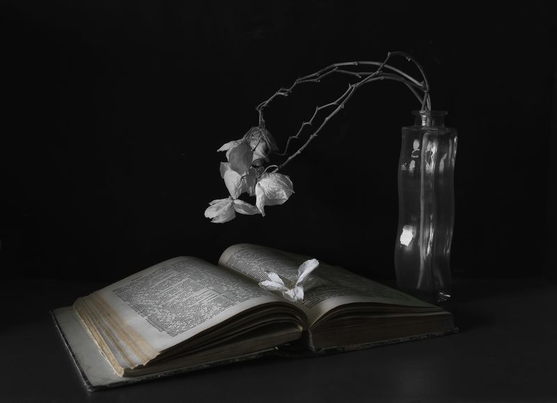 усталые цветыphoto preview