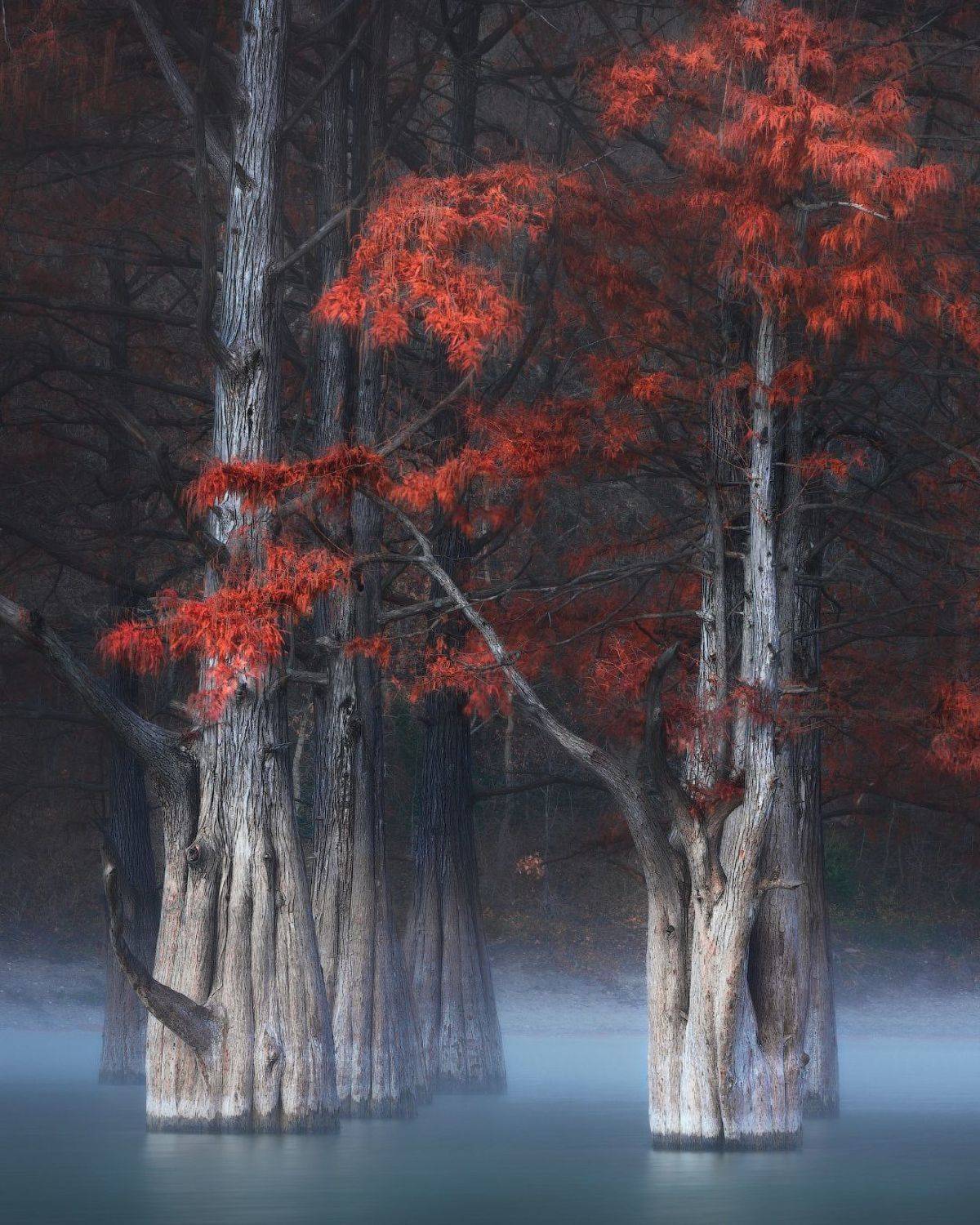 , Алексей Агеев