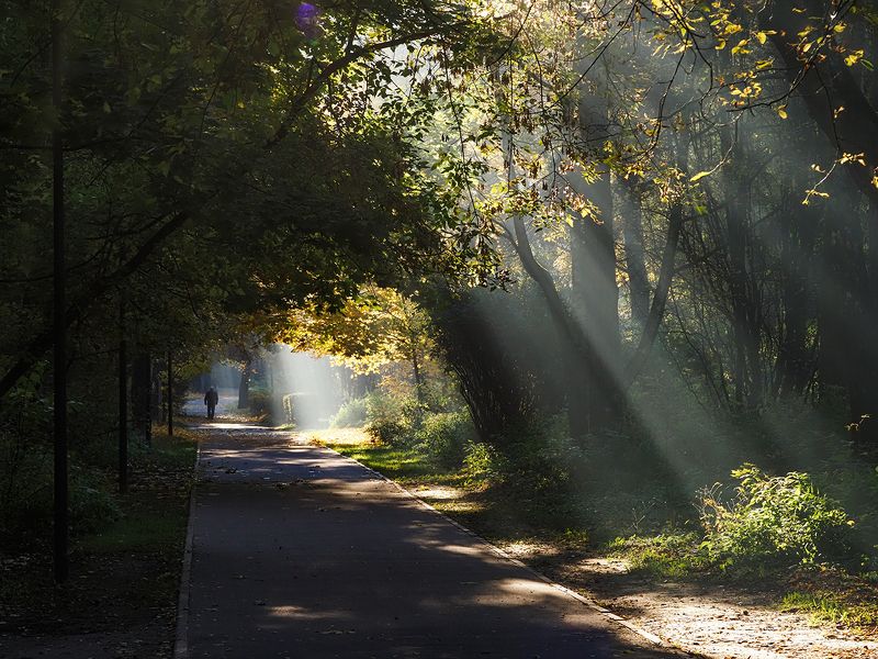 солнечные лучиphoto preview