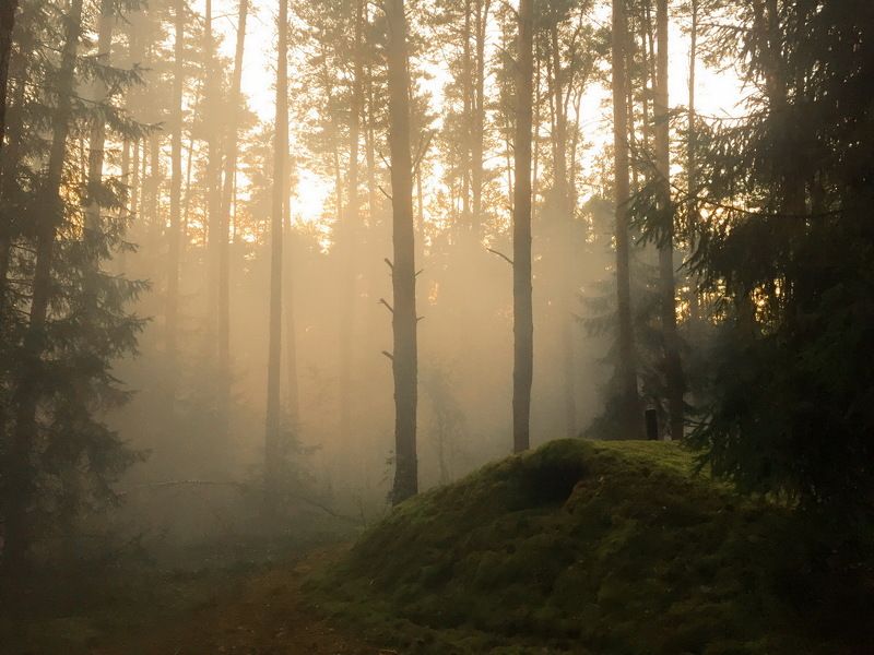 Землянка в глушиphoto preview