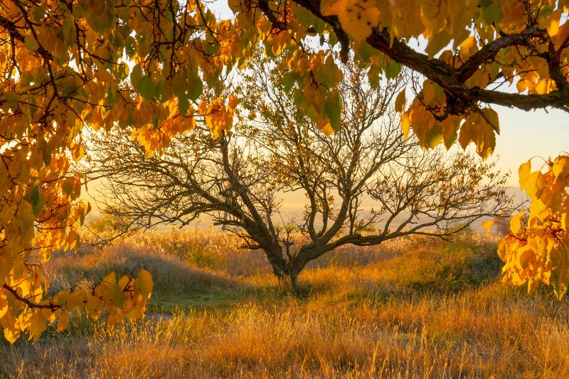 минеральные воды, осень, пейзаж, природа Остатки осениphoto preview