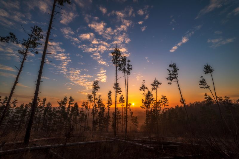 чураево, рассвет, лес, осенний лес, На рассвете.photo preview