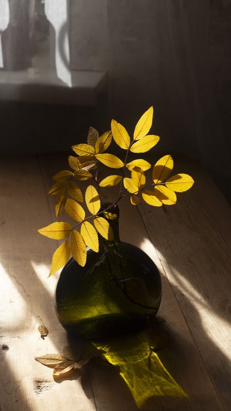 Тёплая осеньphoto preview