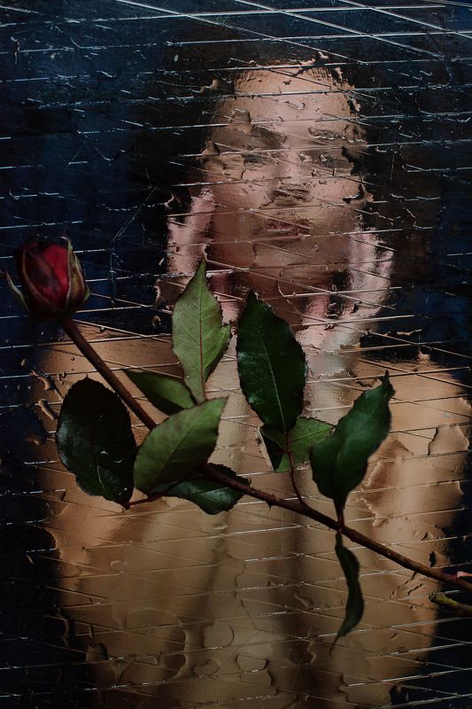 Иллюзияphoto preview