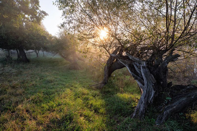 осеннее утро у рекиphoto preview