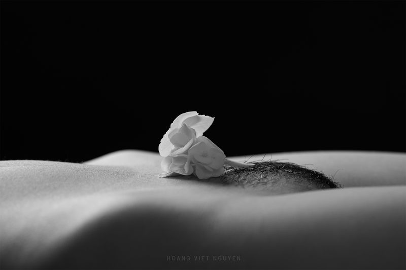 body, woman, female, vietnamese, asian, girl, studio, fine nude, nude, young, bw, black and white, monochrome, shape * * *photo preview