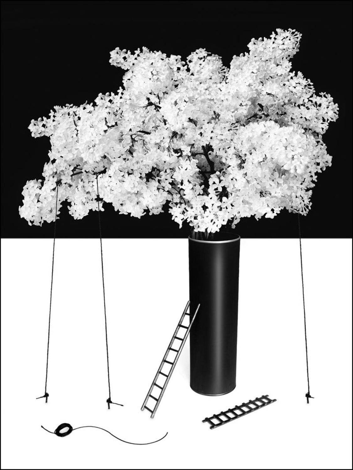 Автор: Илья Бисеров ч/б, натюрморт, Илья Бисеров