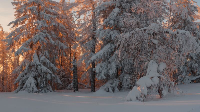 уреньга, южный урал Зимние сказанияphoto preview