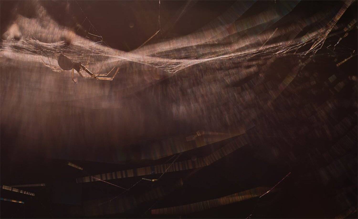 Затаившись в полумраке.... Автор: Геннадий Мещеряков , Геннадий Мещеряков