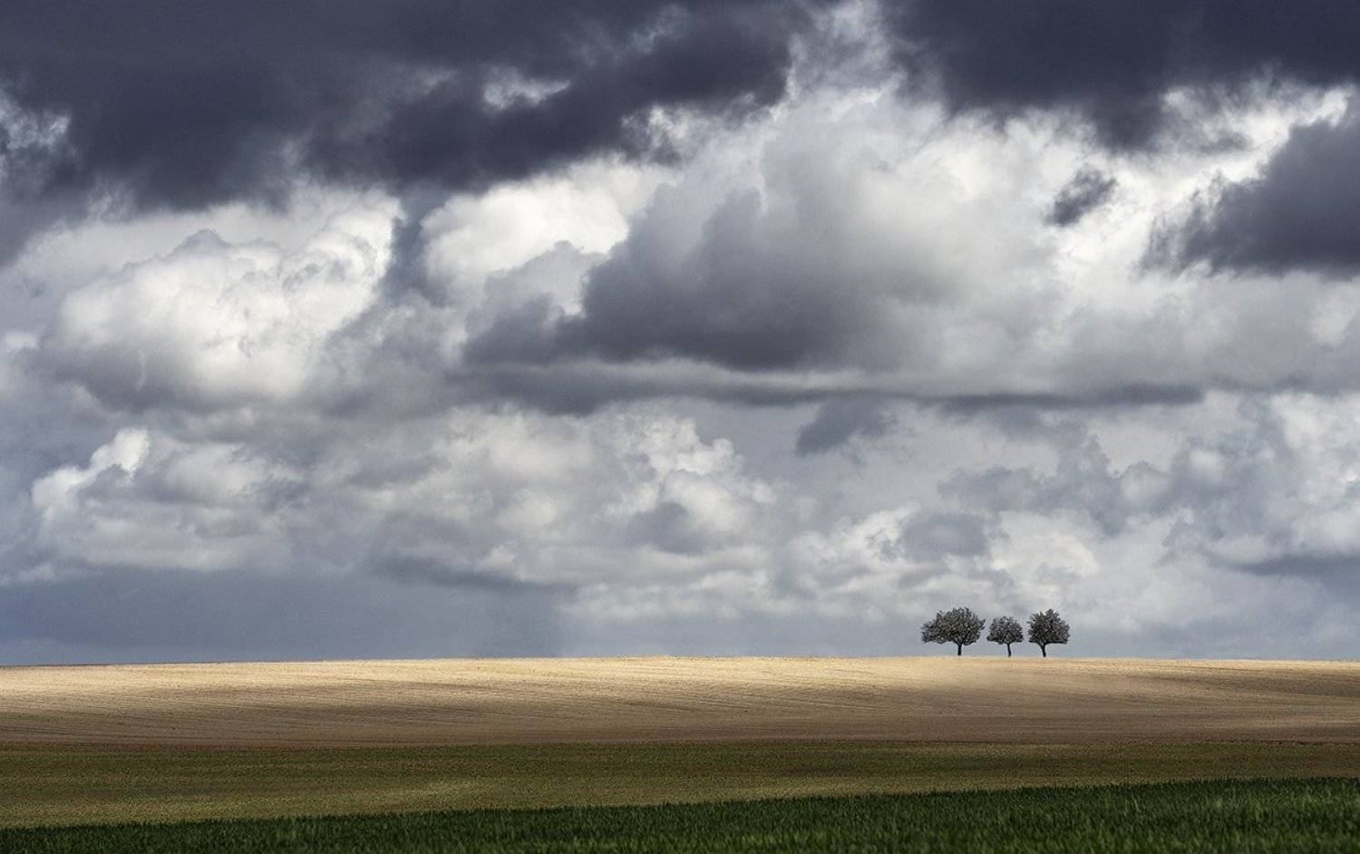 Three. Автор: Danny Vangenechten , Danny Vangenechten