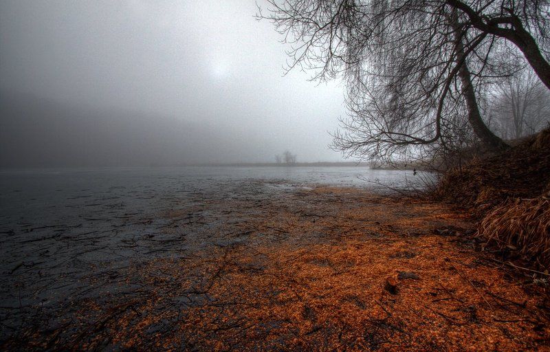 Утречком...photo preview