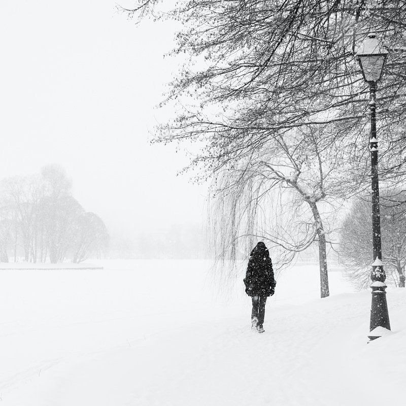 Walking under snowphoto preview