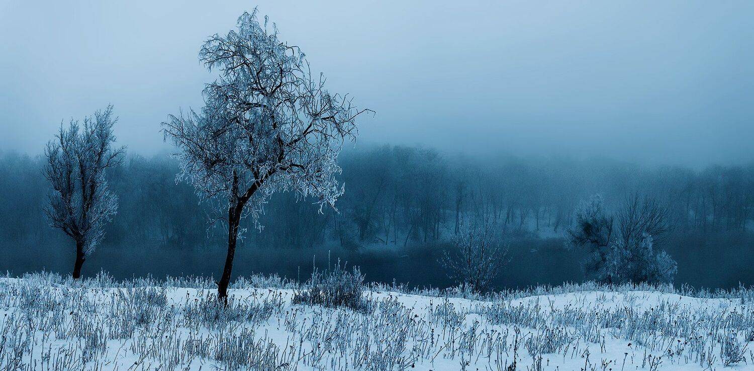 , Игорь Мелекесцев