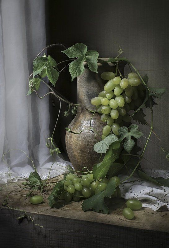 вьюнокphoto preview