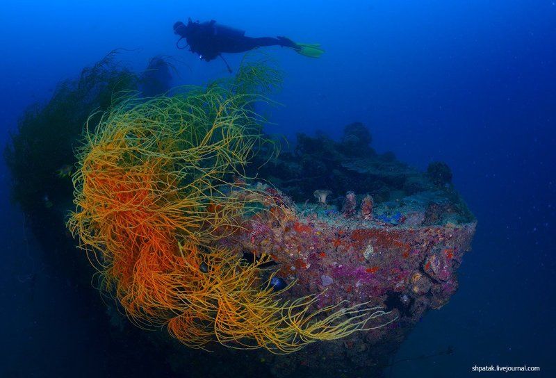 Бухта Корон и ее окрестности.photo preview