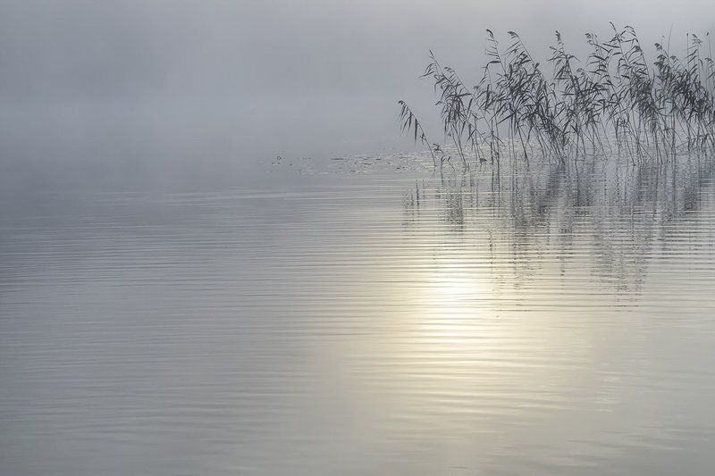 Очные ставки с тишинойphoto preview