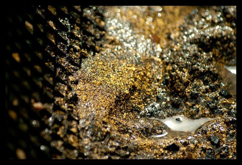 Природное золотоphoto preview