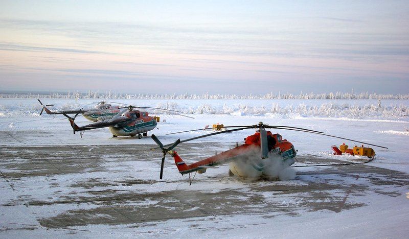 Труженники Севераphoto preview