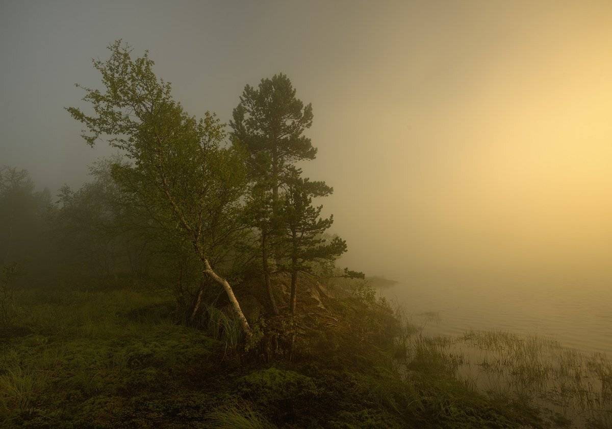 ***. Автор: Ivvian , Ivvian