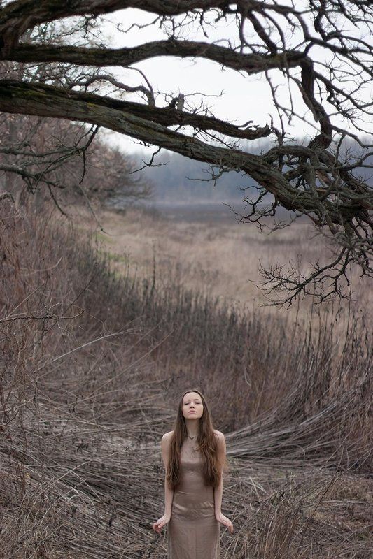 mary dornphoto preview