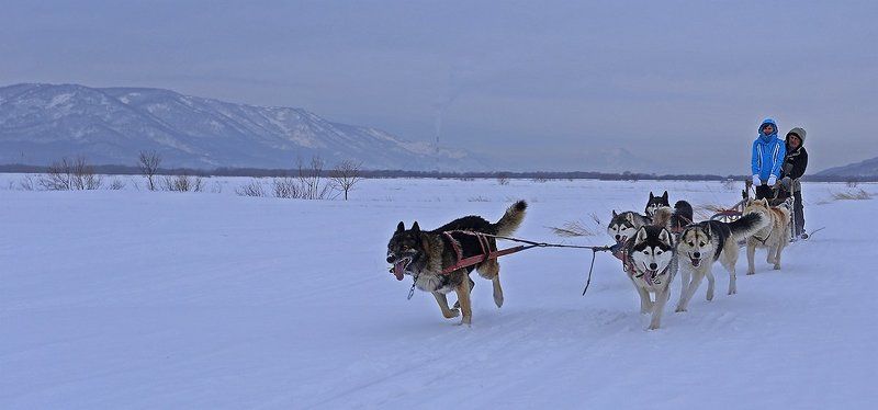 Не роскошь, а средство передвиженияphoto preview