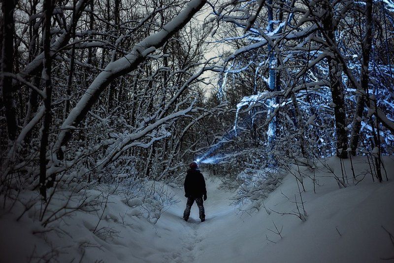 Ледяное одиночествоphoto preview