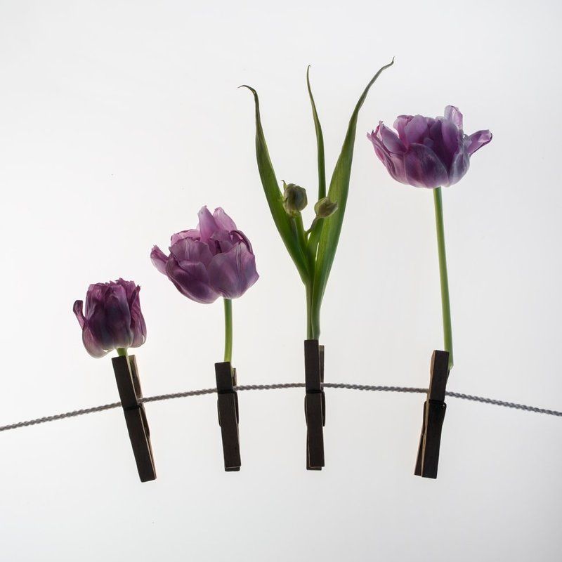 Первый день весныphoto preview