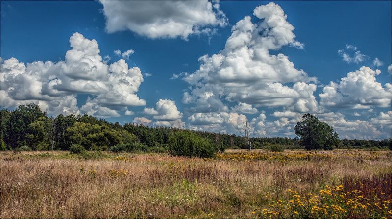 И снова про лето!photo preview