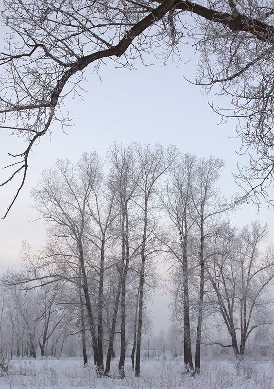 Прощай, зима!photo preview